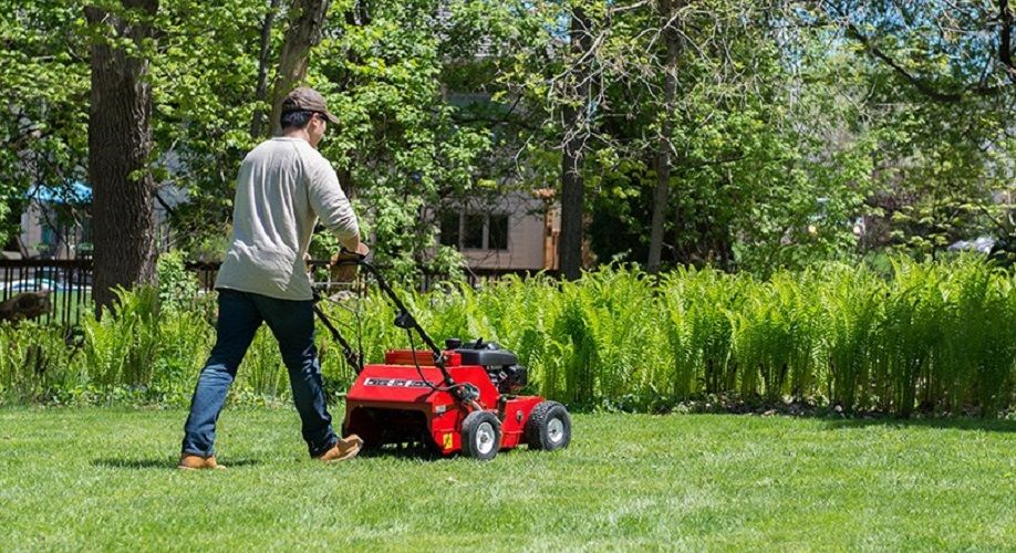 All About Aerating Your Lawn This Fall
