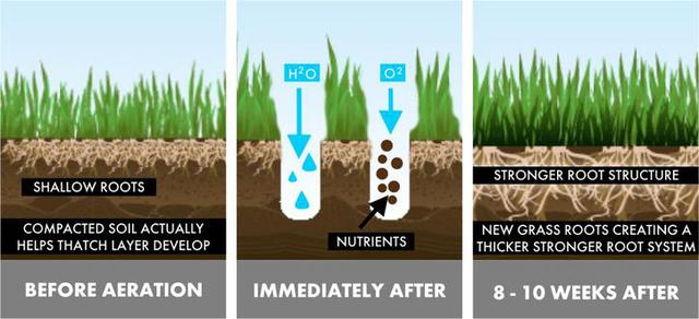 Aerating Your Lawn in the Fall