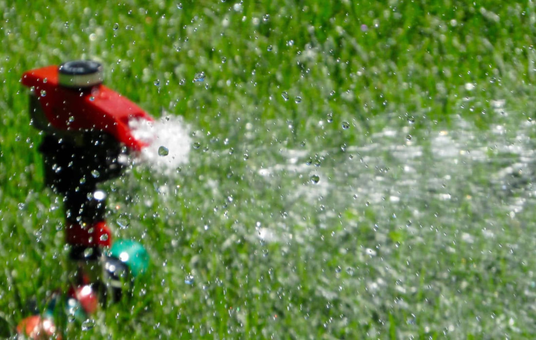 lawn watering tips