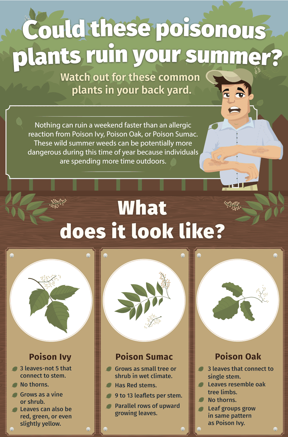 GreenPal Poison Ivy Tips 1